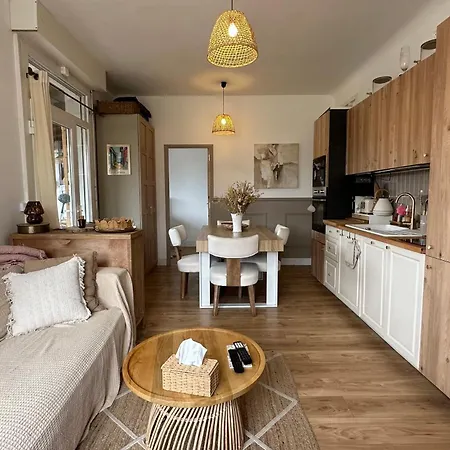 Daire With A Large Terrace In Biganos