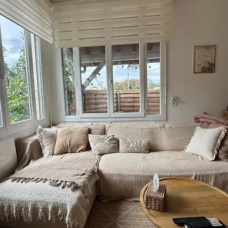 With A Large Terrace In